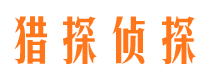 新河外遇调查取证